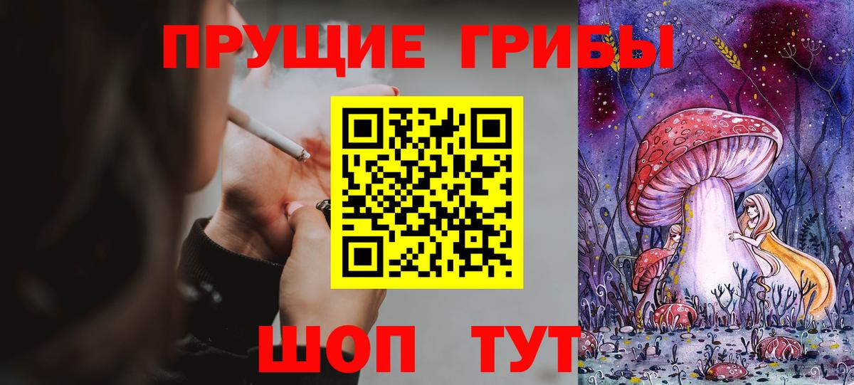 Галлюциногенные грибы Psilocybine cubensis Сафоново